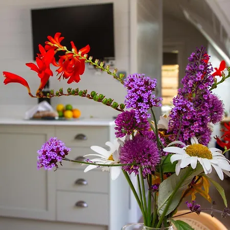 Prospect House Farm Dağ evi *